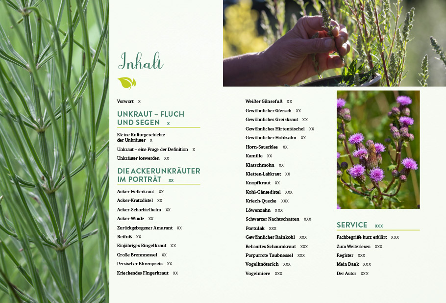 9783818620400_innenansicht_01 9783818620400_innenansicht_01.jpg