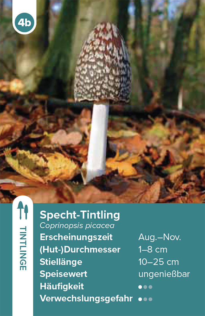 9783258800042_innenansicht_04.jpg