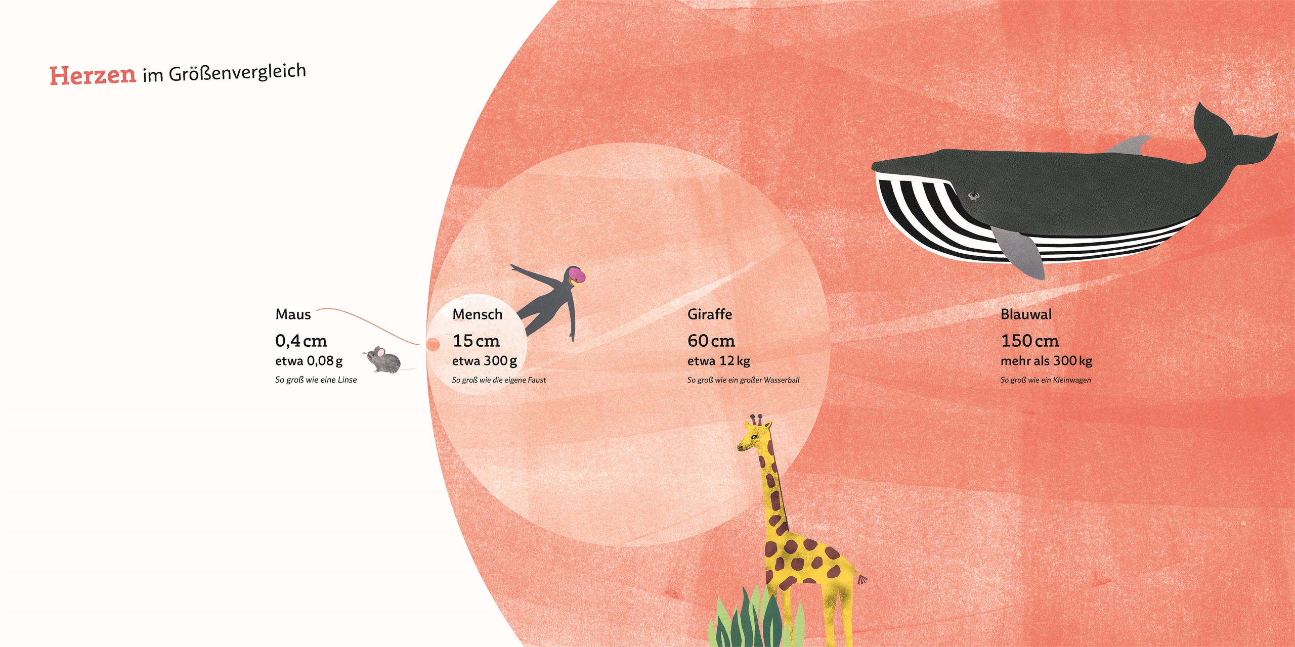 9783831048045_innenansicht_05 9783831048045_innenansicht_05.jpg