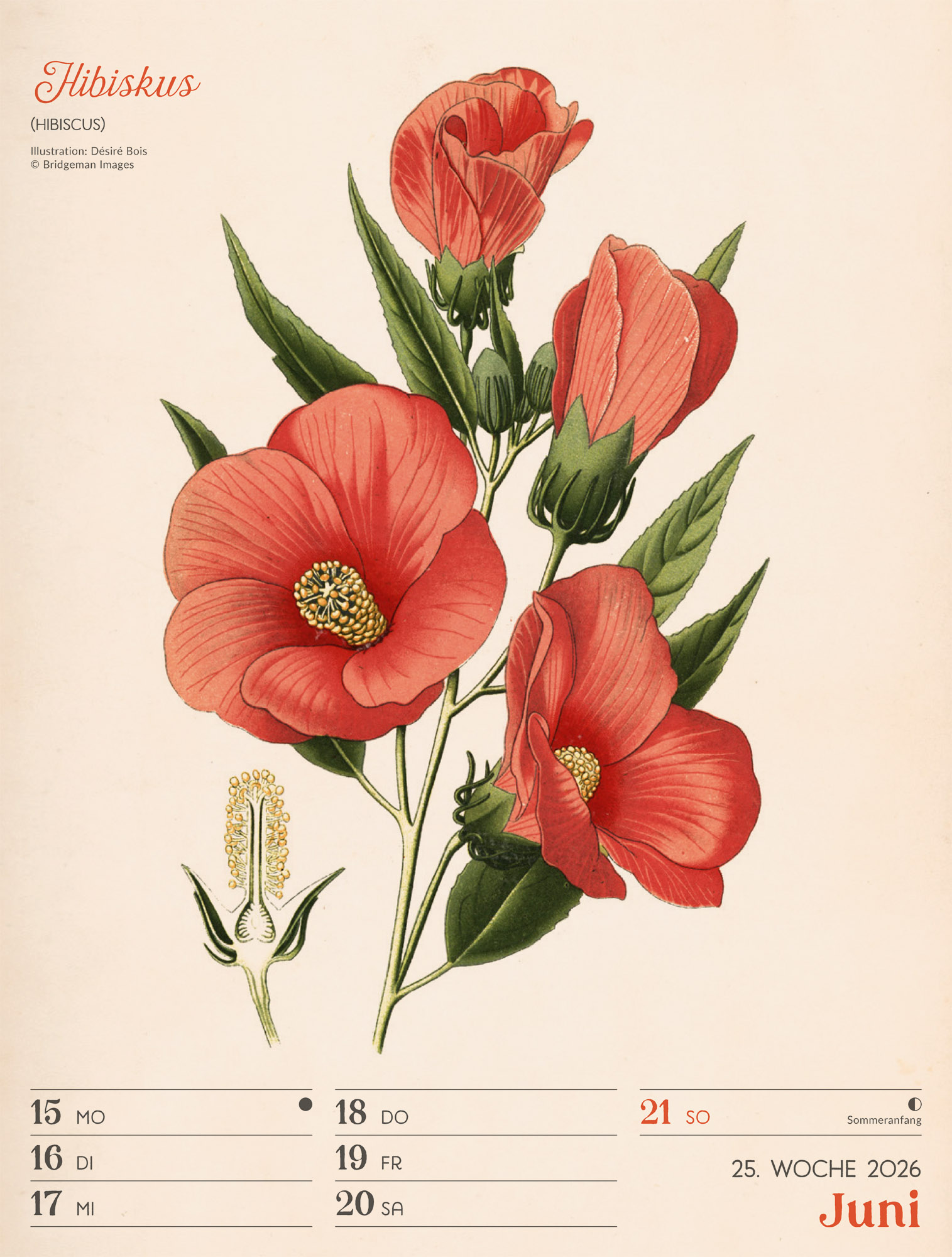 9783838436128_innenansicht_28 9783838436128_innenansicht_28.jpg