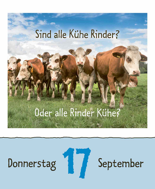 9783731889199_innenansicht_14.jpg