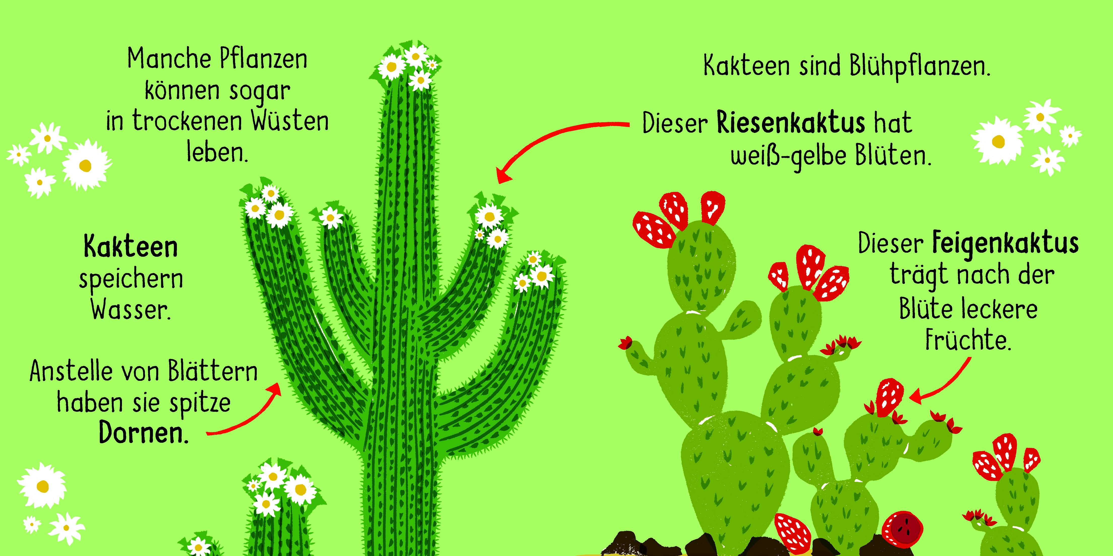 9783411708468_innenansicht_01.jpg