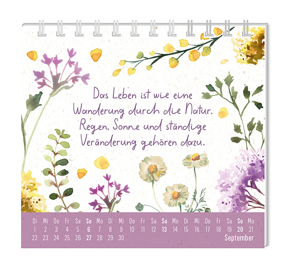 9783986361976_innenansicht_09.png
