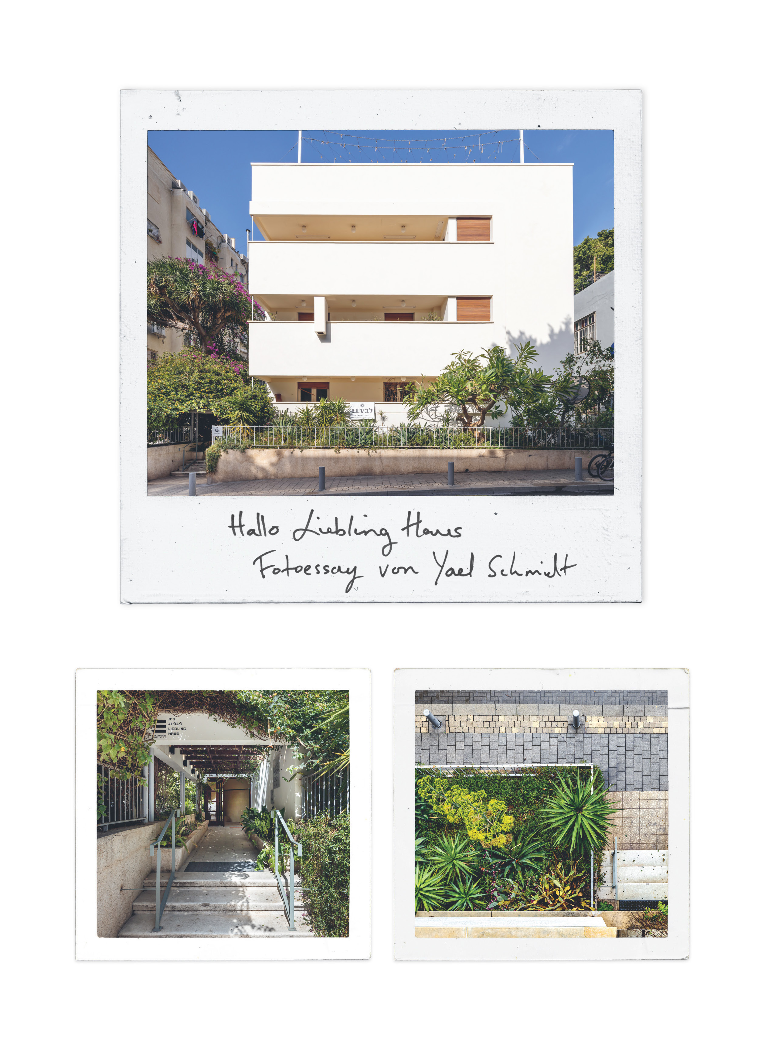 9783986120221_innenansicht_01 9783986120221_innenansicht_01.jpg