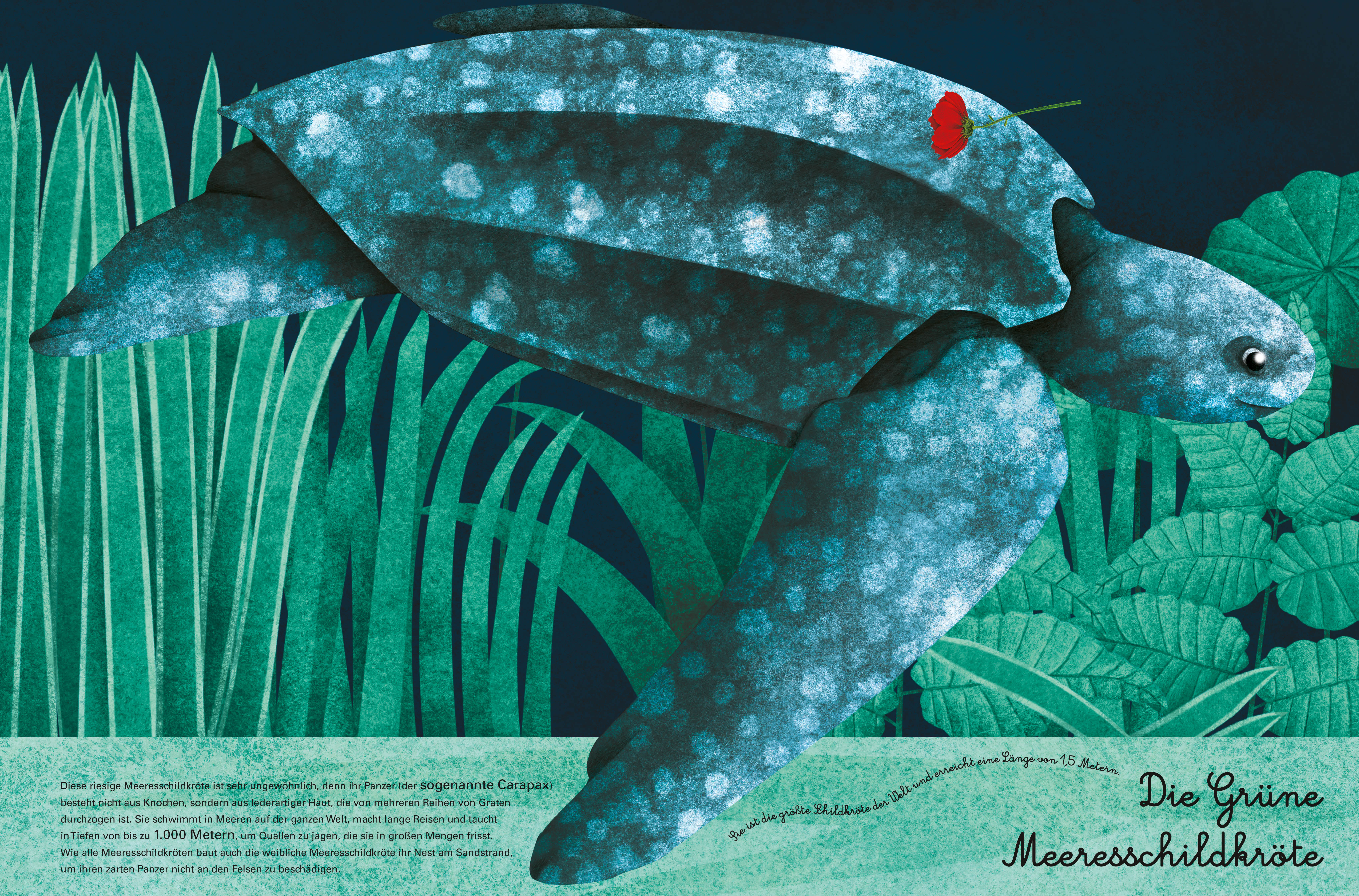 9788863125597_innenansicht_06 9788863125597_innenansicht_06.jpg