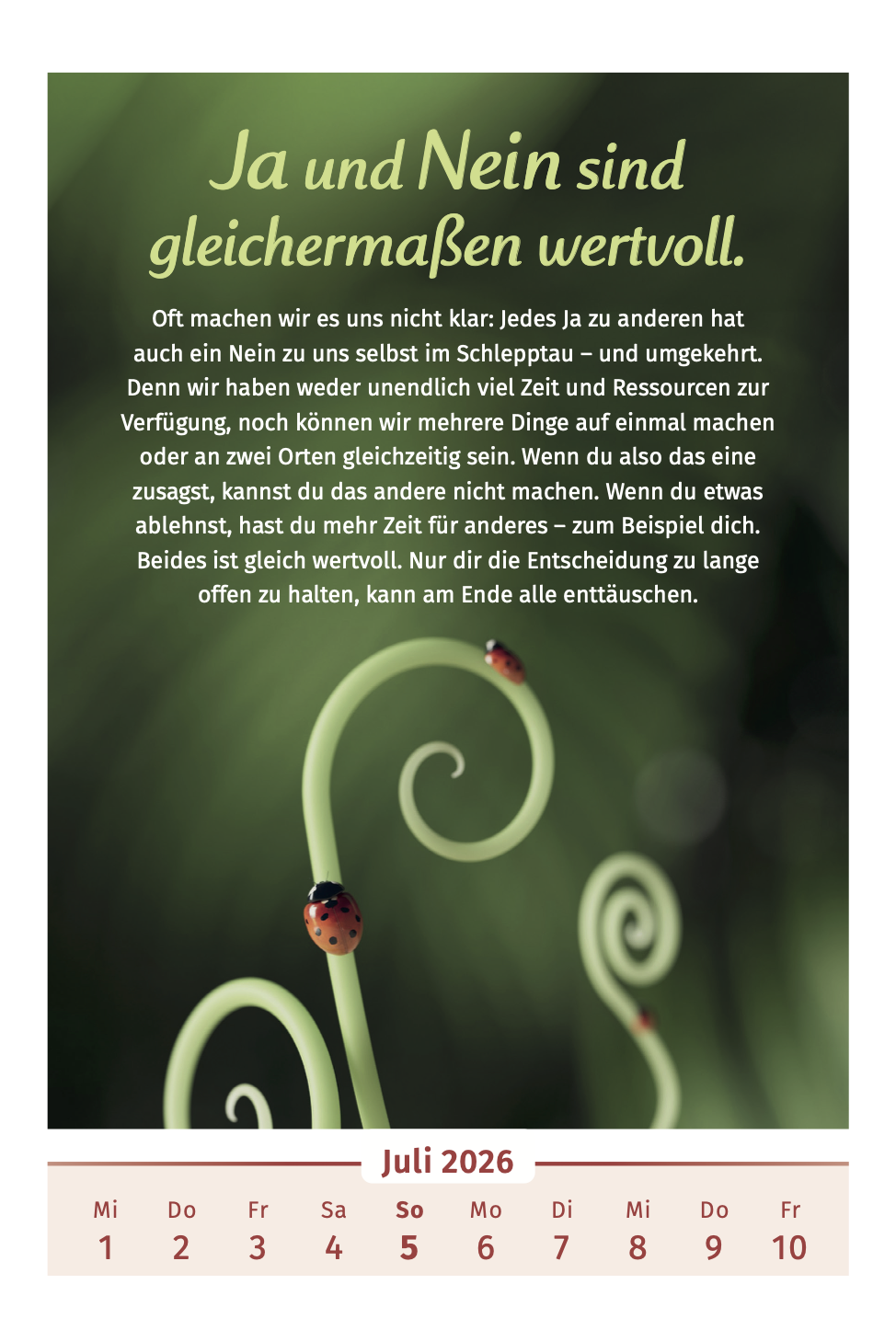 9783910294455_innenansicht_05.png
