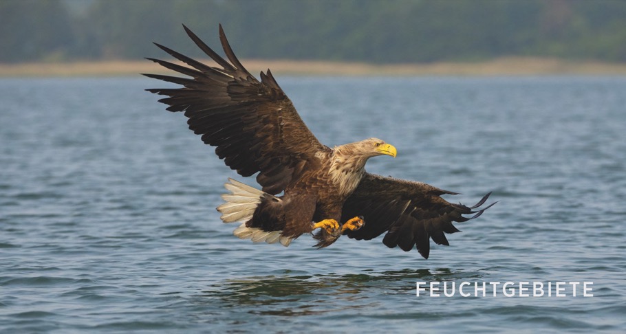 9783954162802_innenansicht_01 9783954162802_innenansicht_01.jpg