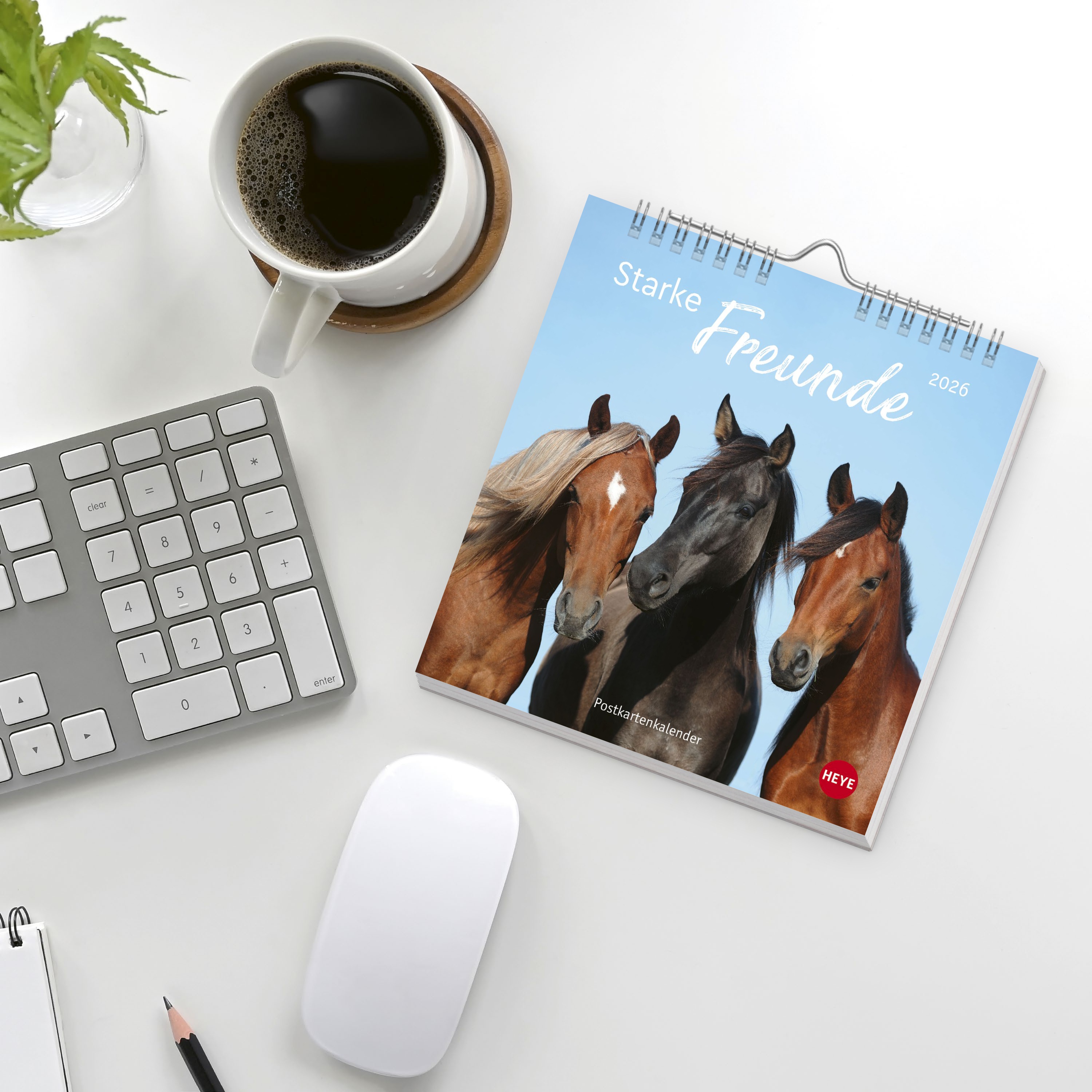 9783756410477_weiterecover_01 9783756410477_weiterecover_01.jpg