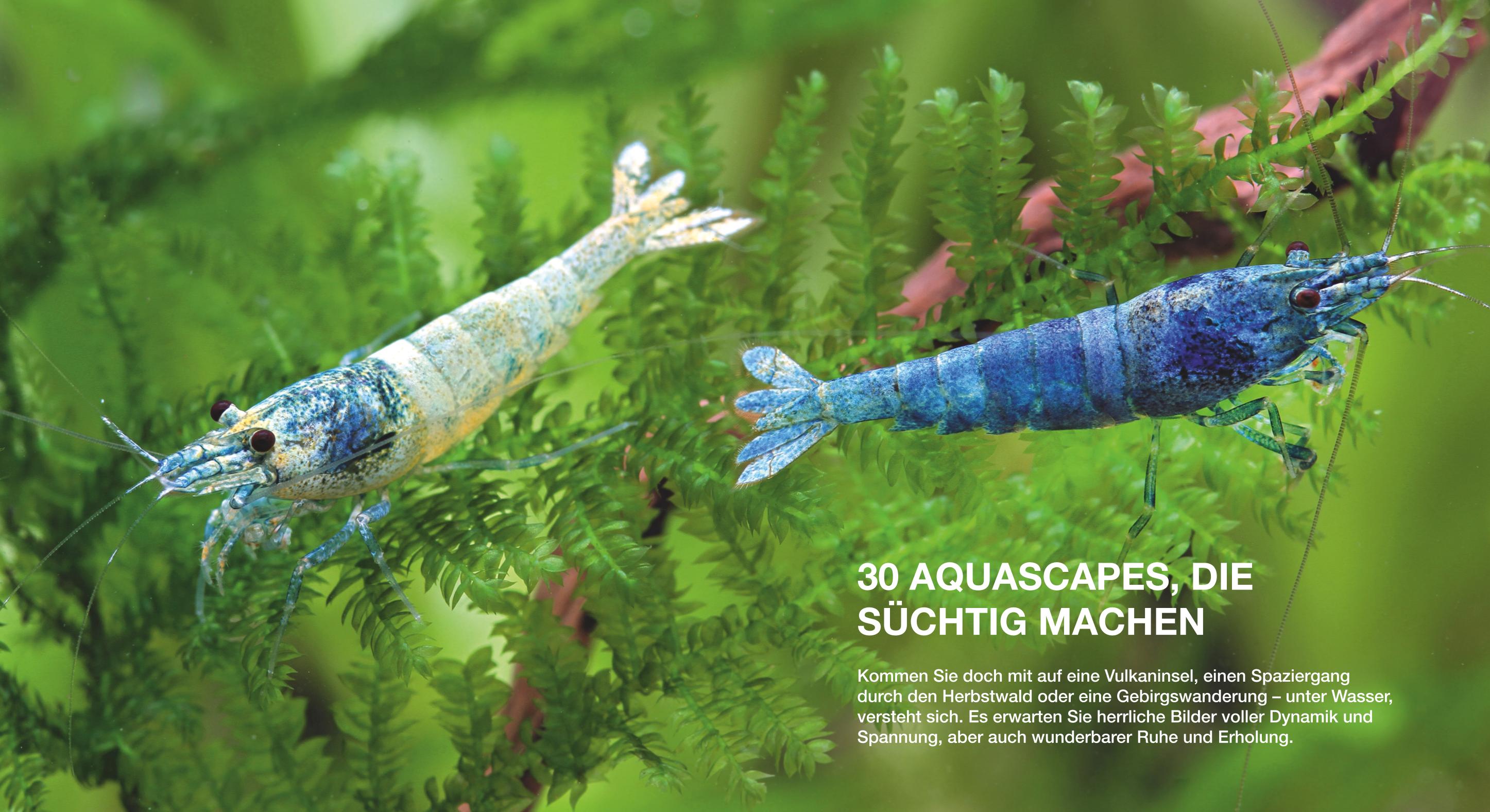 9783833824111_innenansicht_03 9783833824111_innenansicht_03.jpg