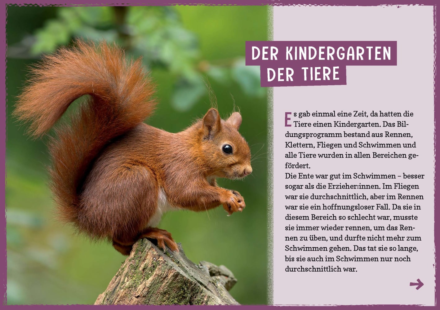 4260694921197_innenansicht_01 4260694921197_innenansicht_01.jpg