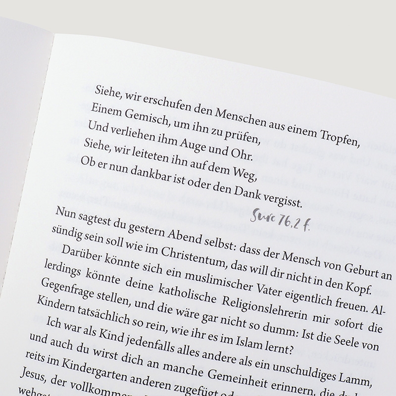 9783446271449_innenansicht_03 9783446271449_innenansicht_03.jpg
