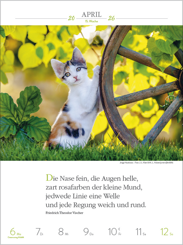 9783731884354_innenansicht_02.jpg