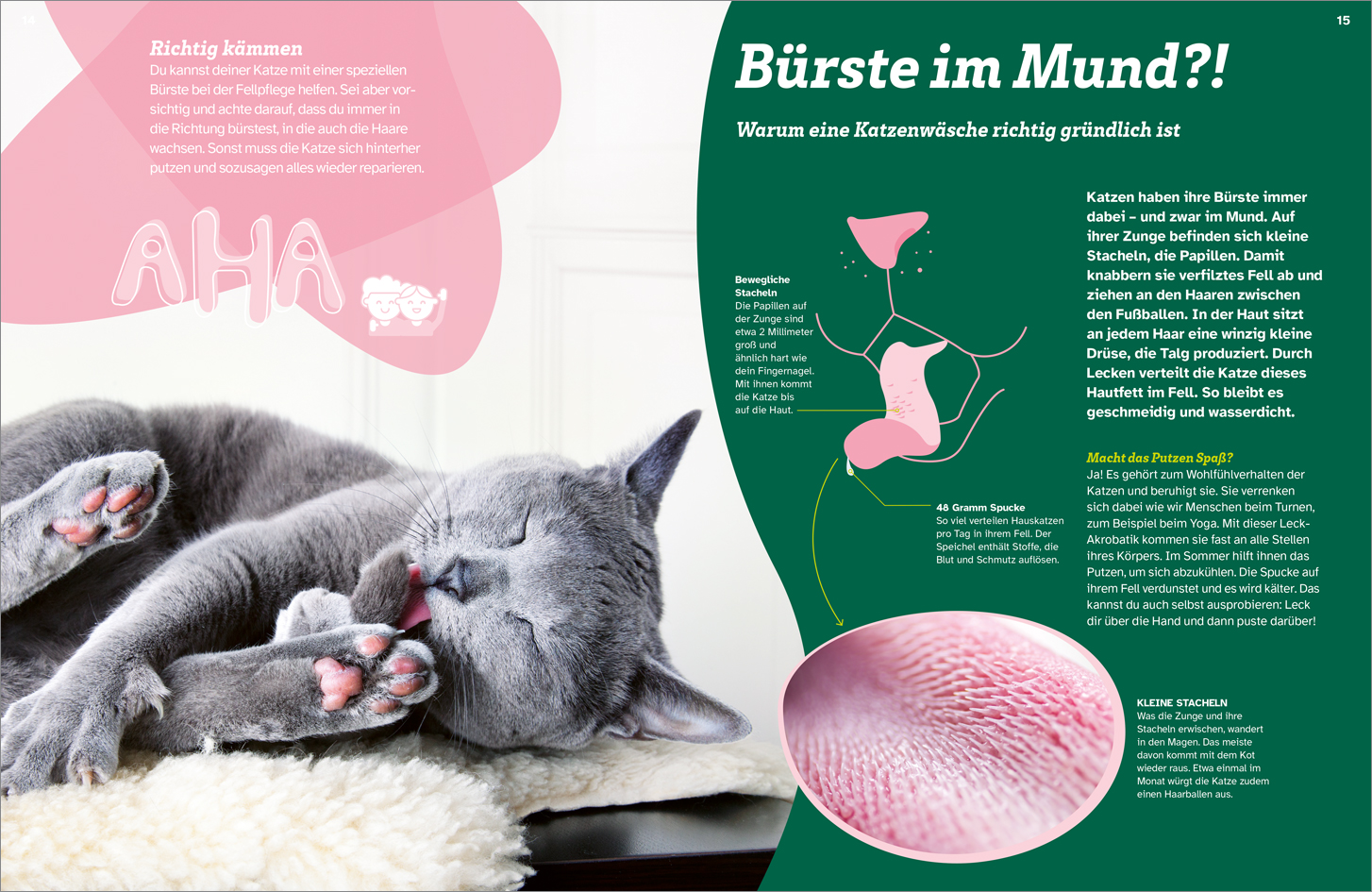 9783788681760_innenansicht_02.jpg