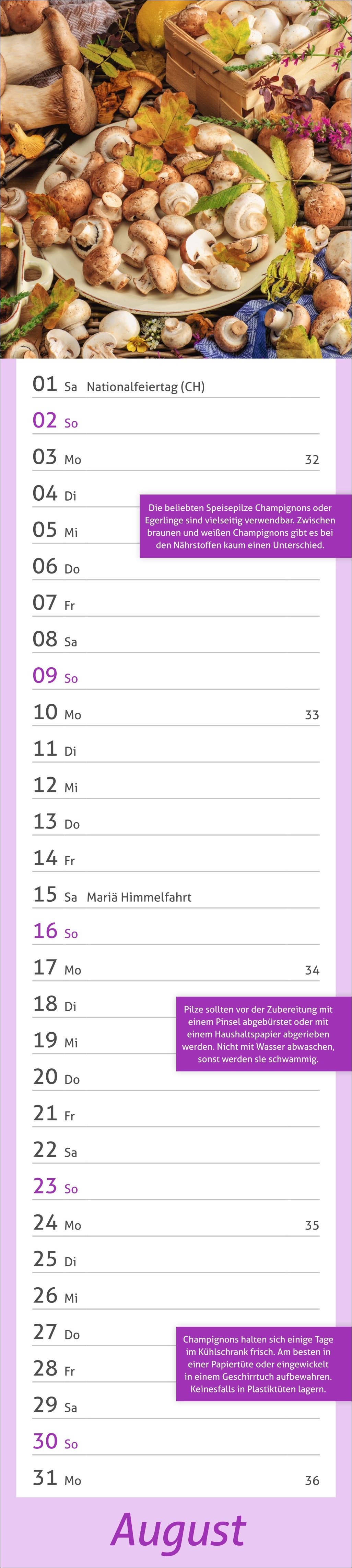 9783756412778_innenansicht_08.jpg