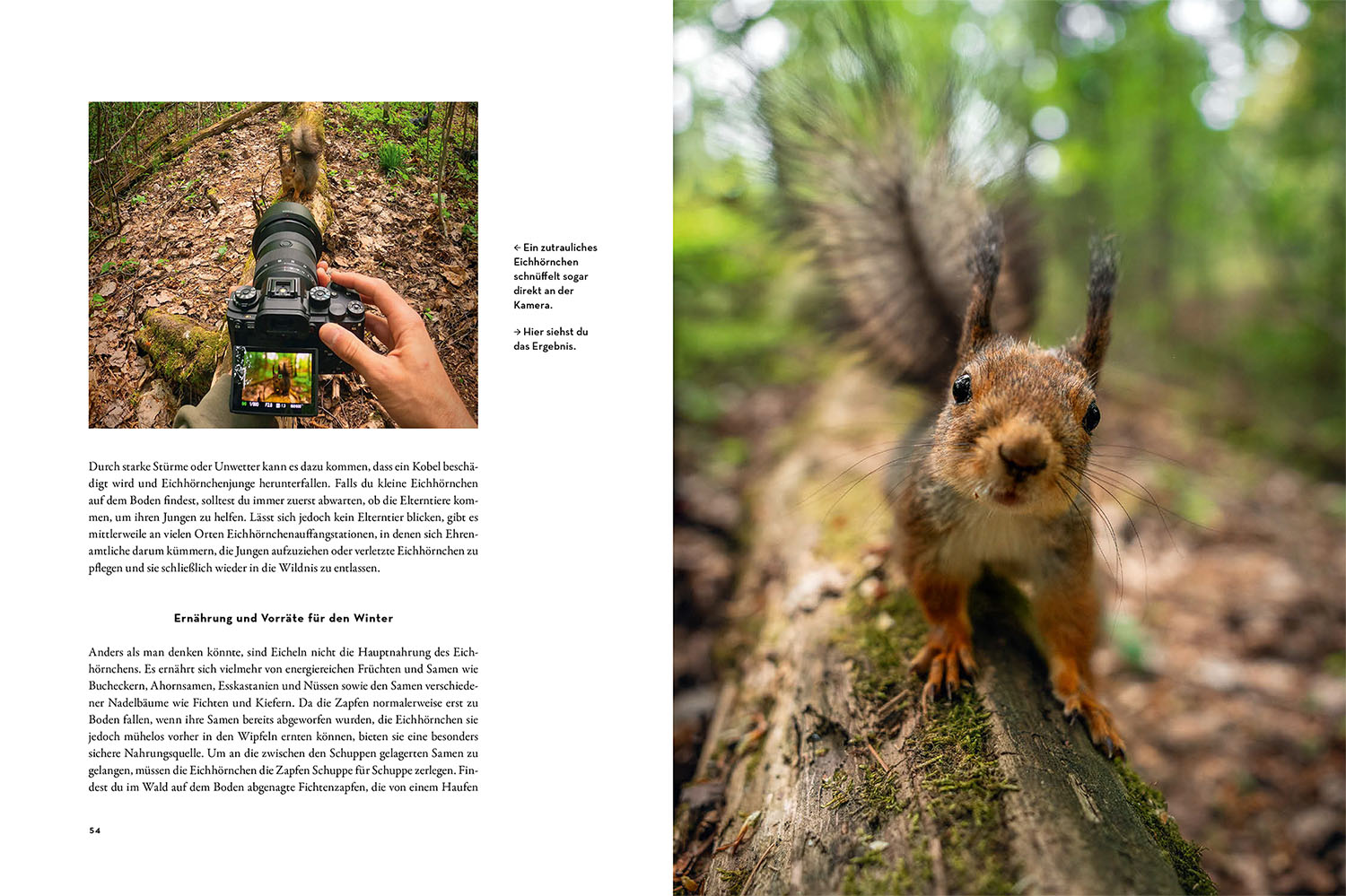 9783440178768_innenansicht_02 9783440178768_innenansicht_02.jpg