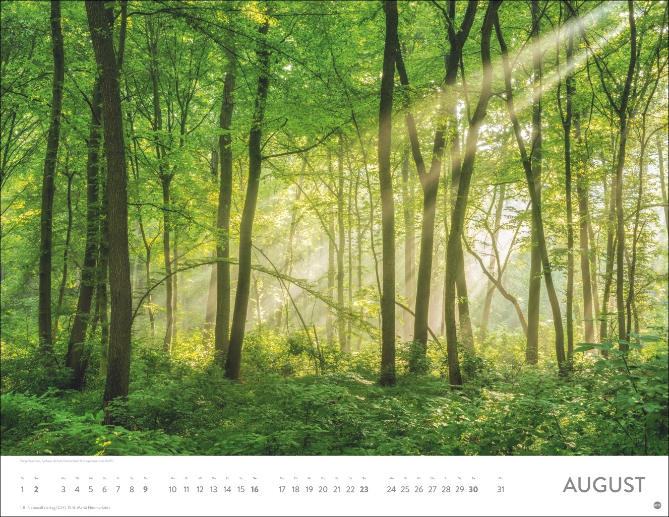 9783756413959_innenansicht_08 9783756413959_innenansicht_08.jpg