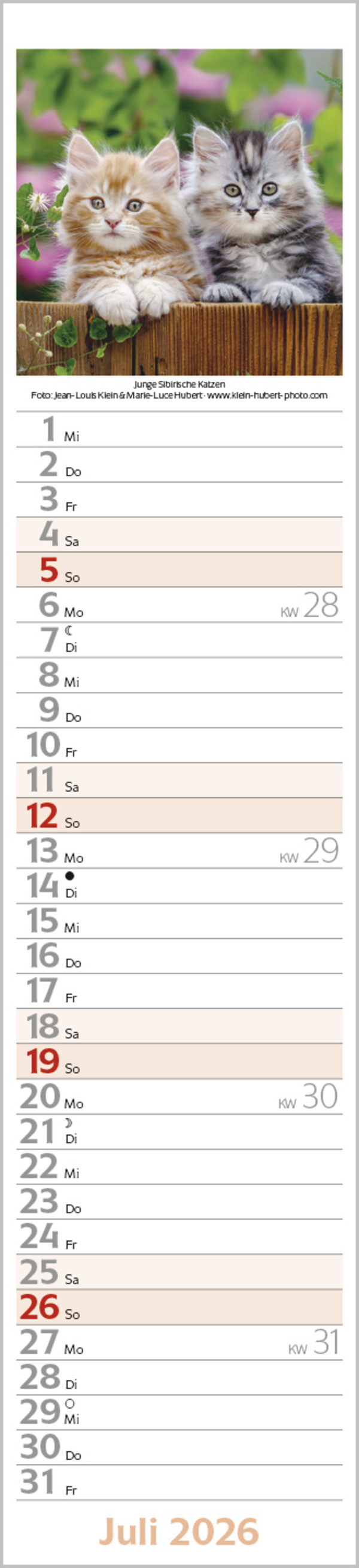 9783731886891_innenansicht_07.jpg