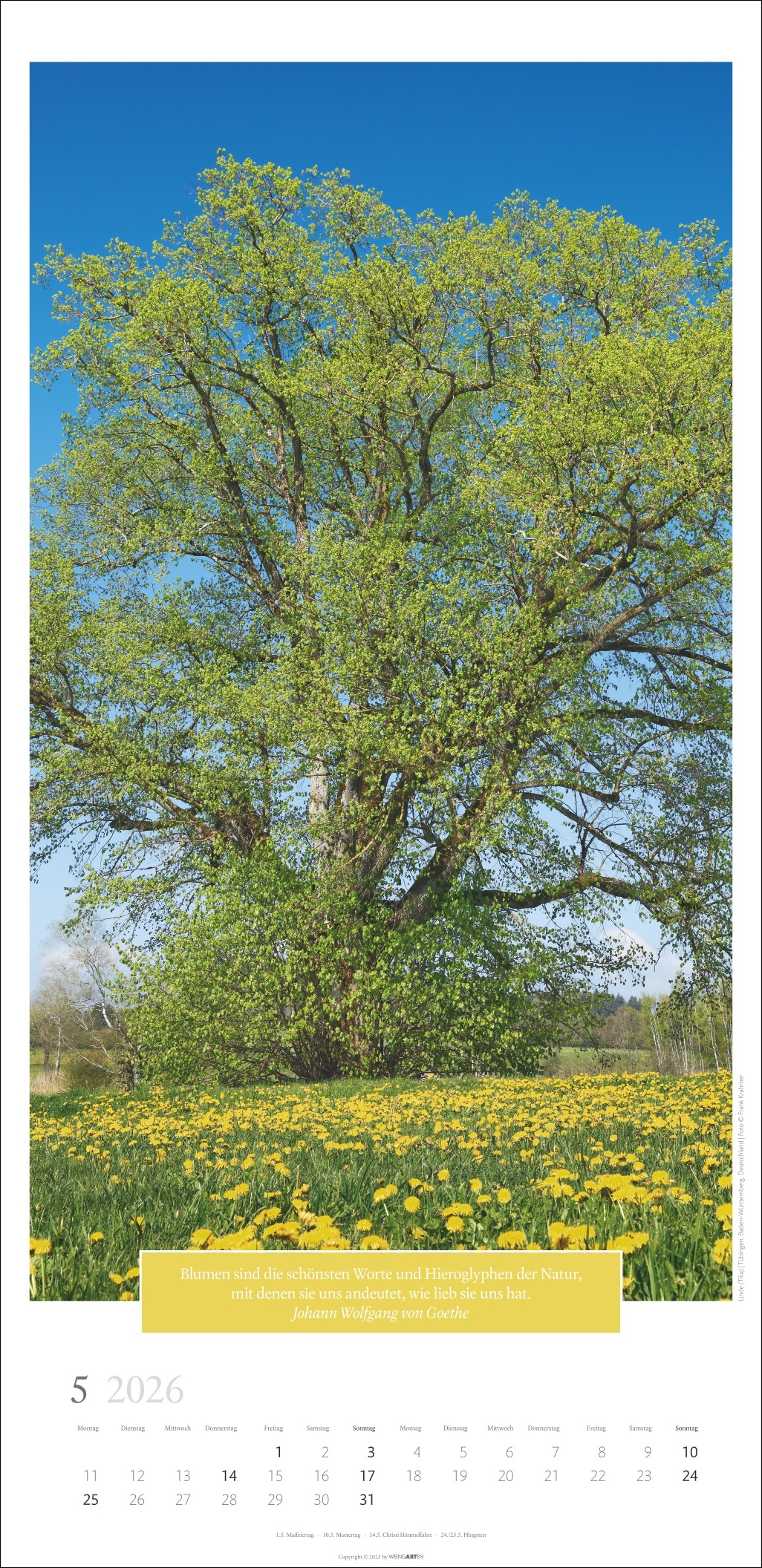 9783839901830_innenansicht_05.jpg