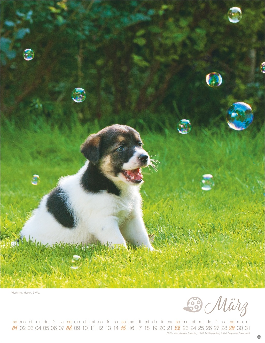 9783756410811_innenansicht_03 9783756410811_innenansicht_03.jpg