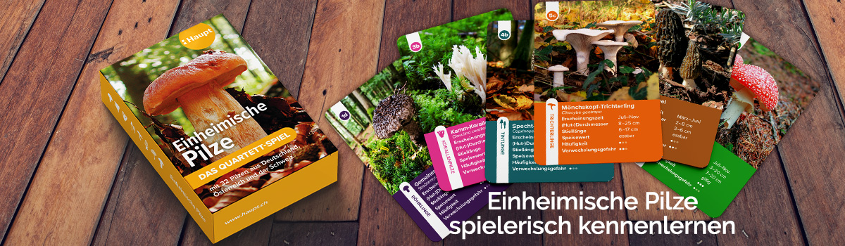 9783258800042_buehnenbild.jpg