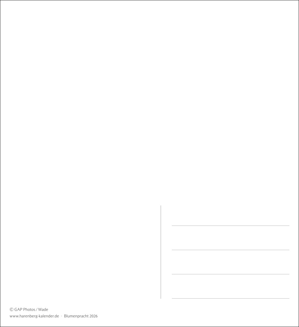 9783840036750_innenansicht_02.jpg