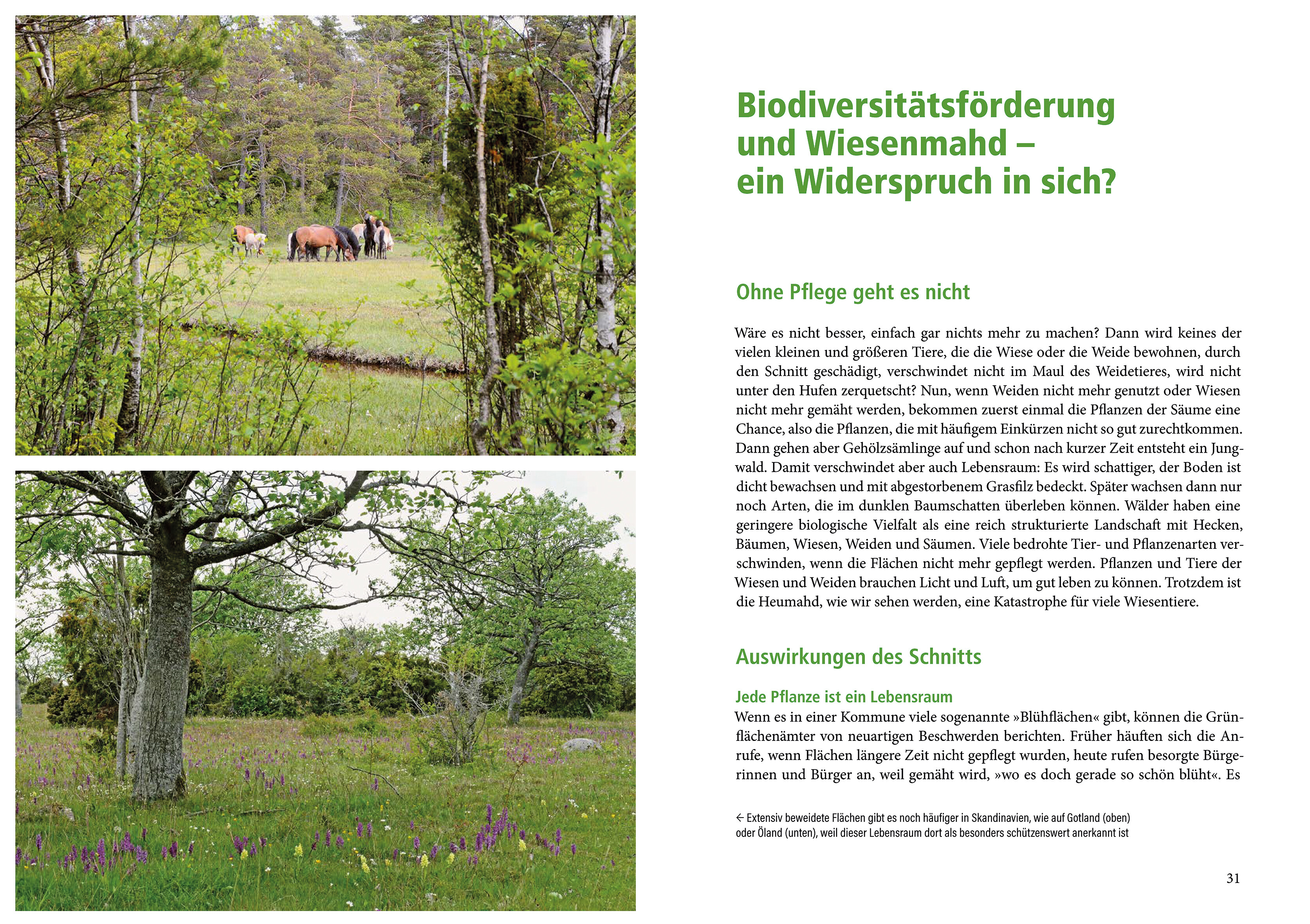 9783895664335_innenansicht_01.jpg