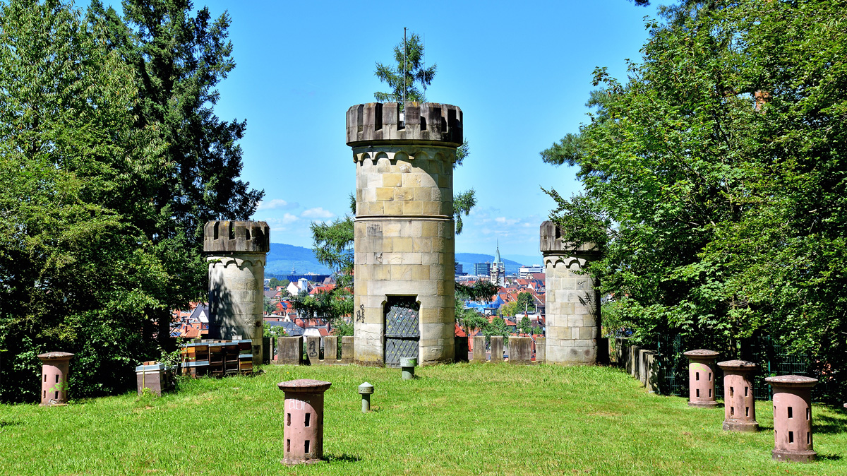 9783907293980_innenansicht_05.jpg