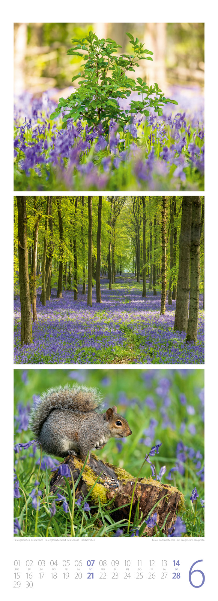 9783838426365_innenansicht_06 9783838426365_innenansicht_06.jpg