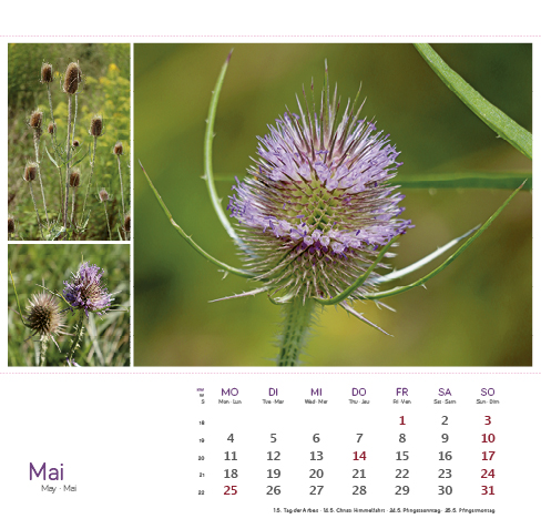 9783861925163_innenansicht_05 9783861925163_innenansicht_05.jpg