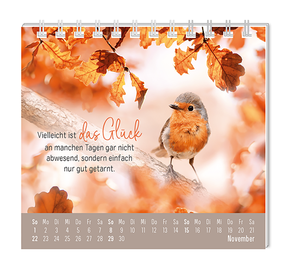 9783986361914_innenansicht_11 9783986361914_innenansicht_11.png