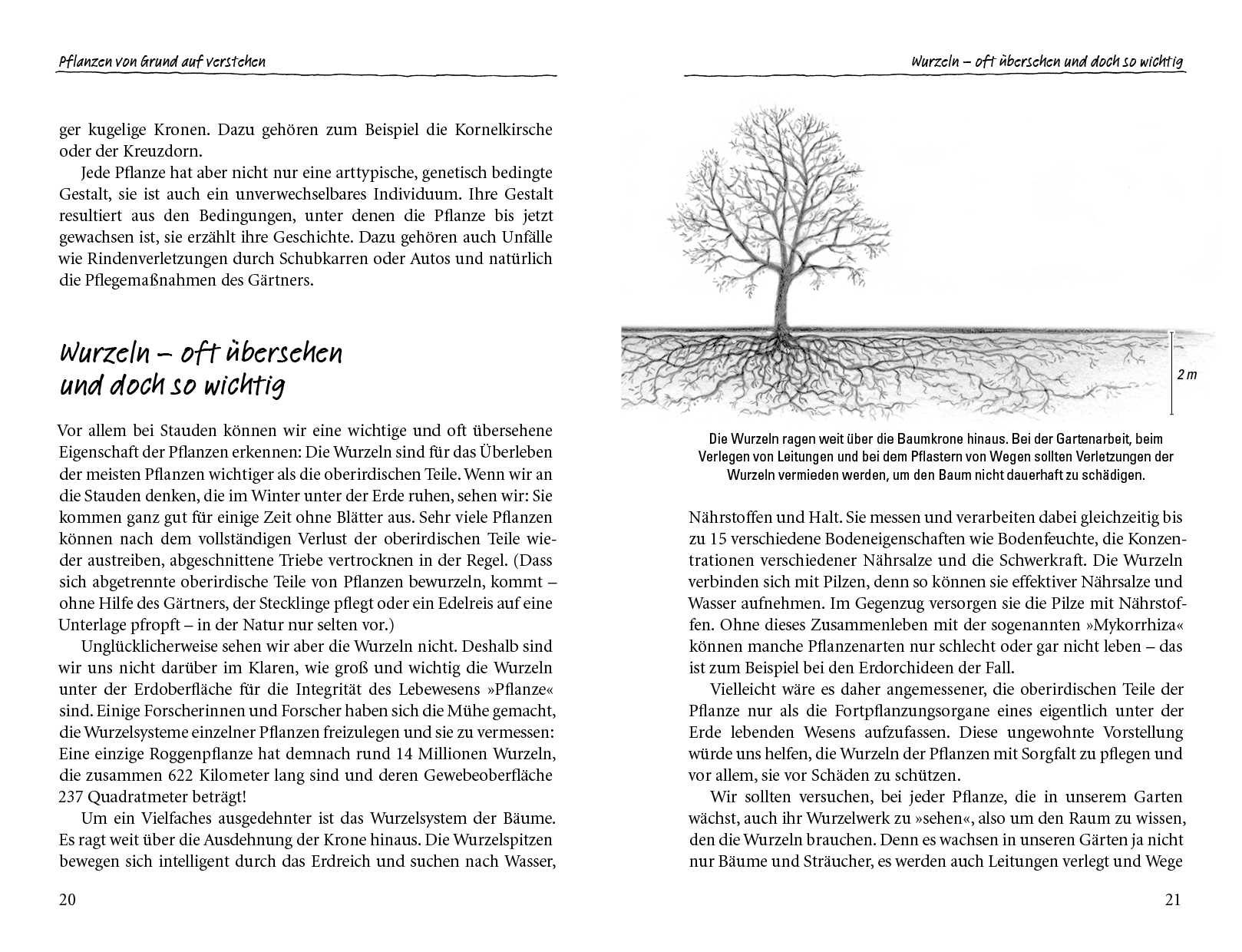 9783895663208_innenansicht_02 9783895663208_innenansicht_02.jpg