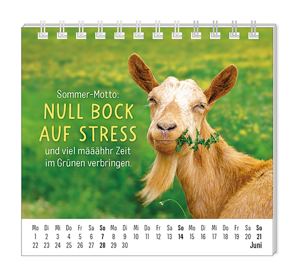 9783986361938_innenansicht_06.png