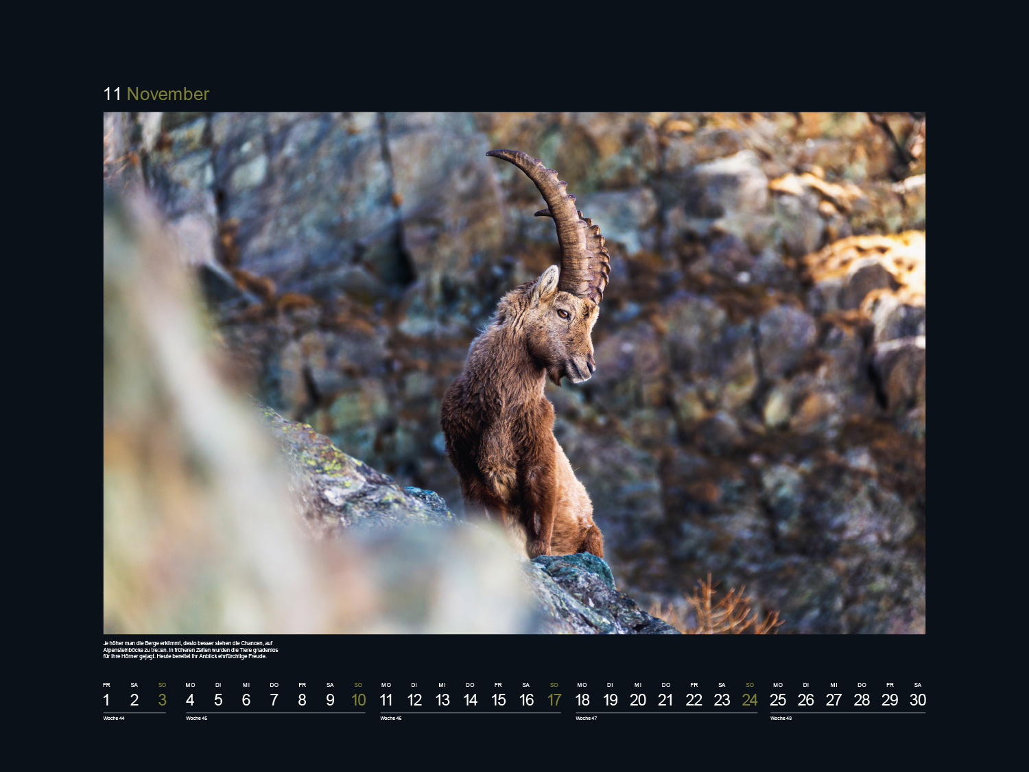 9783965912519_innenansicht_12 9783965912519_innenansicht_12.jpg