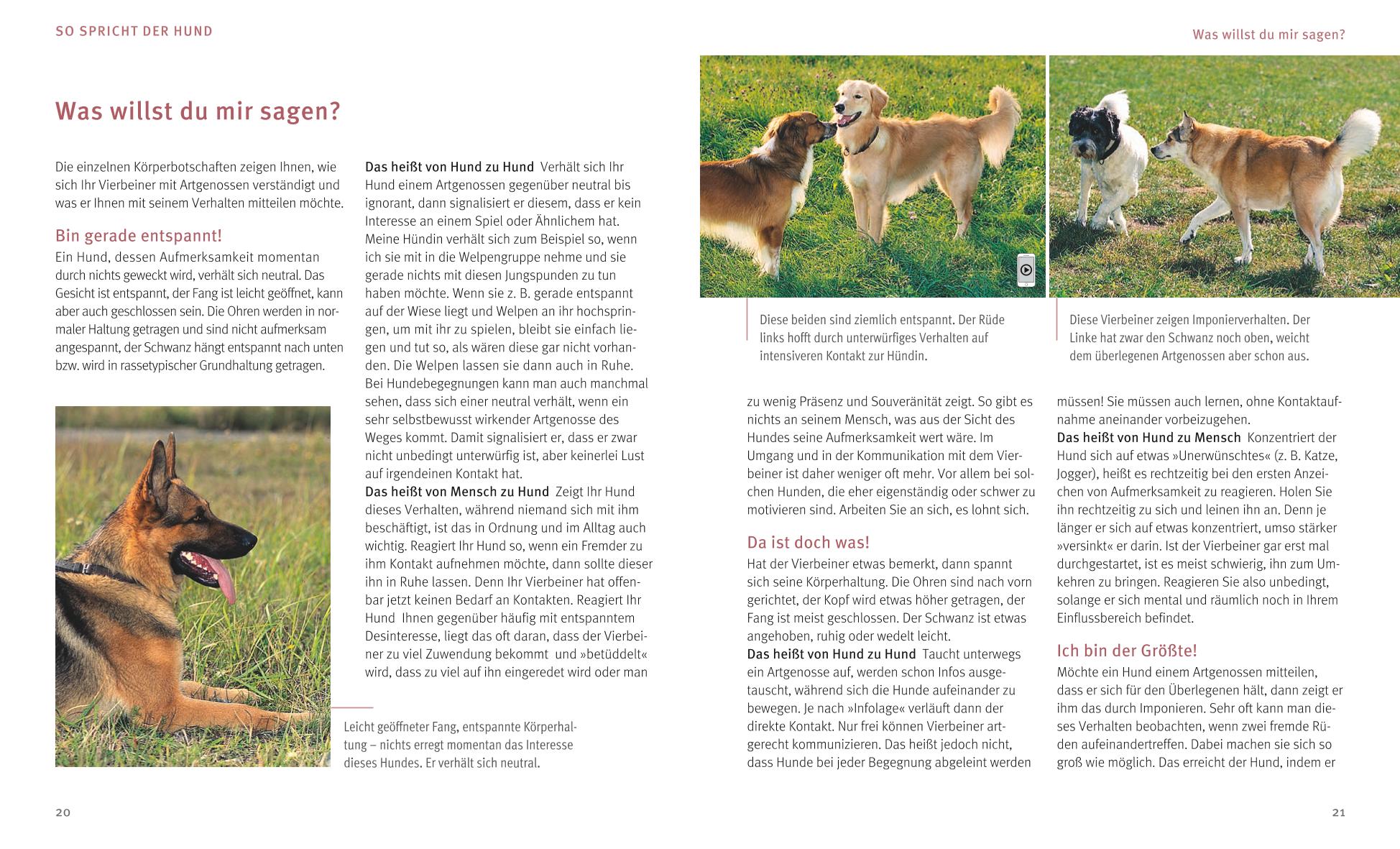 9783833841460_innenansicht_04 9783833841460_innenansicht_04.jpg