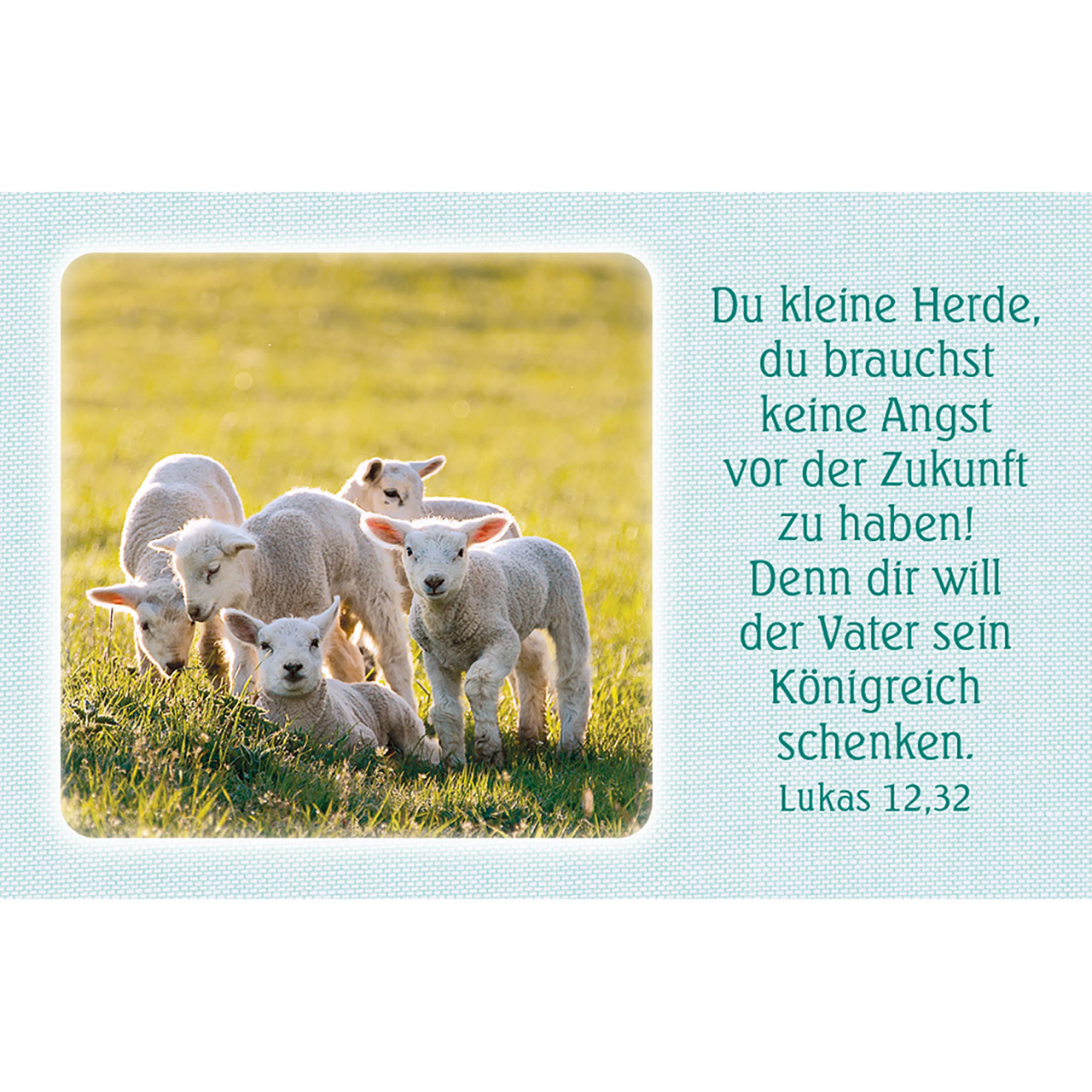 4034905014912_innenansicht_01.jpg