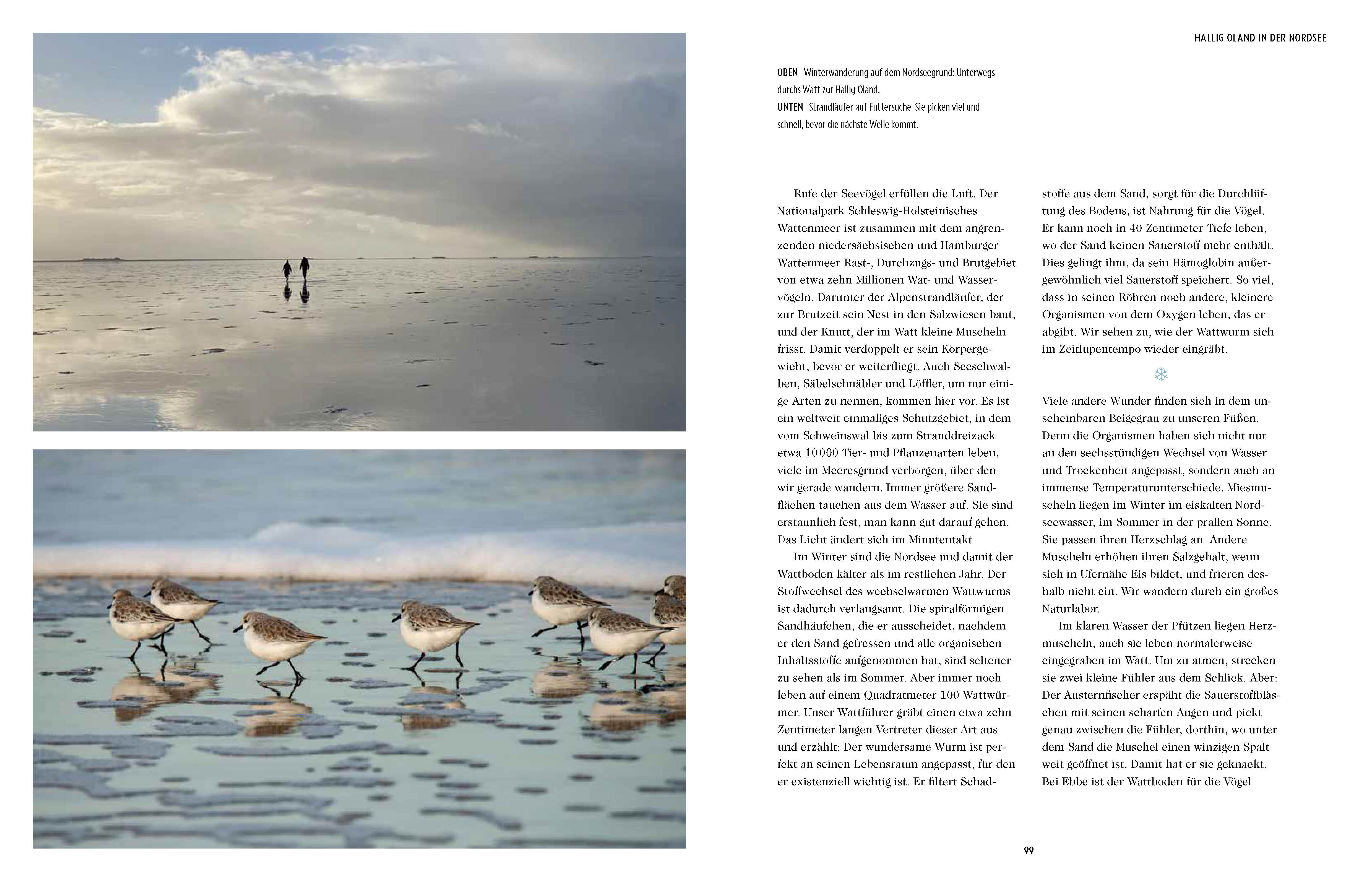 9783791380056_innenansicht_04 9783791380056_innenansicht_04.jpg