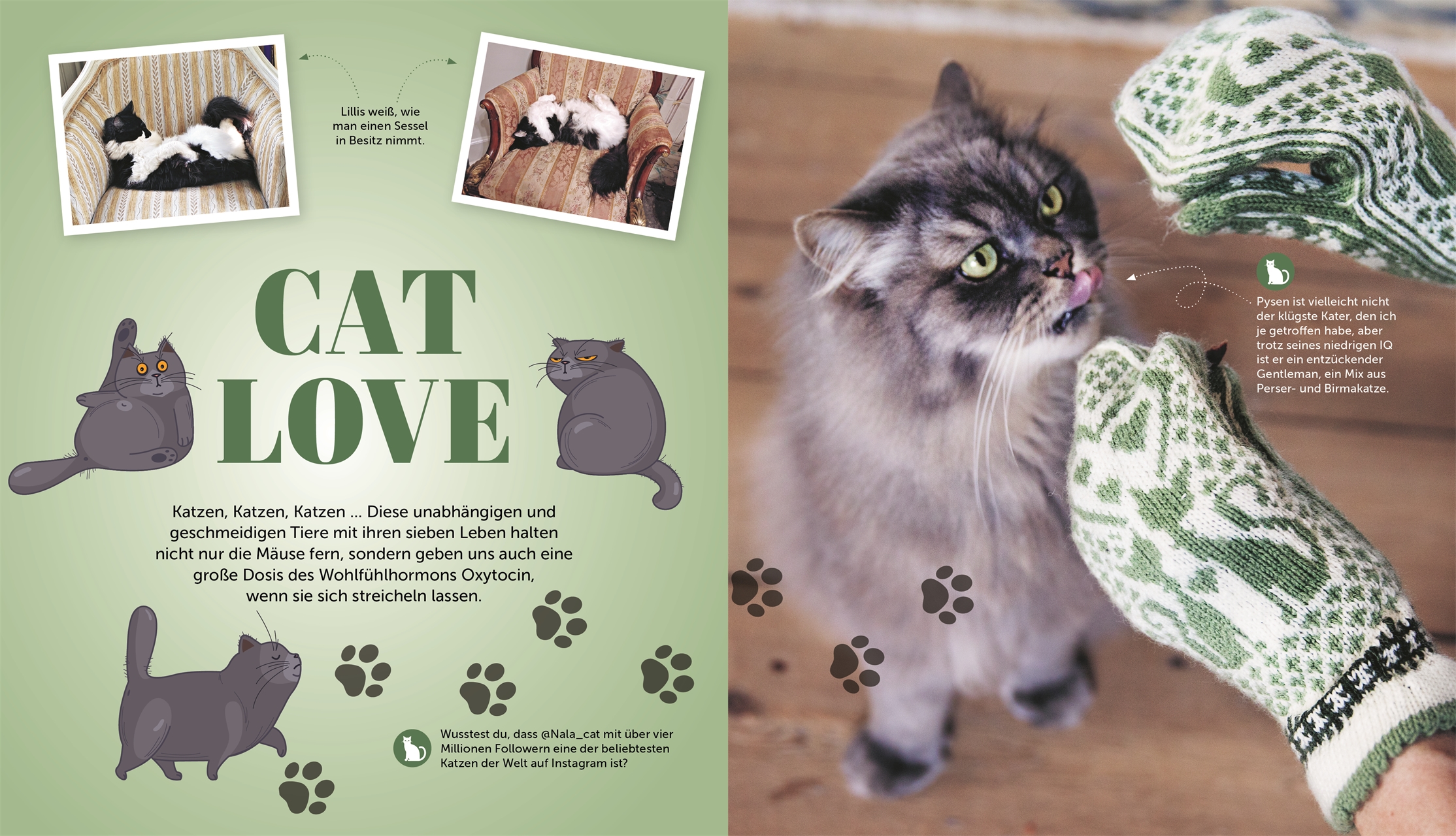 9783831047048_innenansicht_04 9783831047048_innenansicht_04.jpg