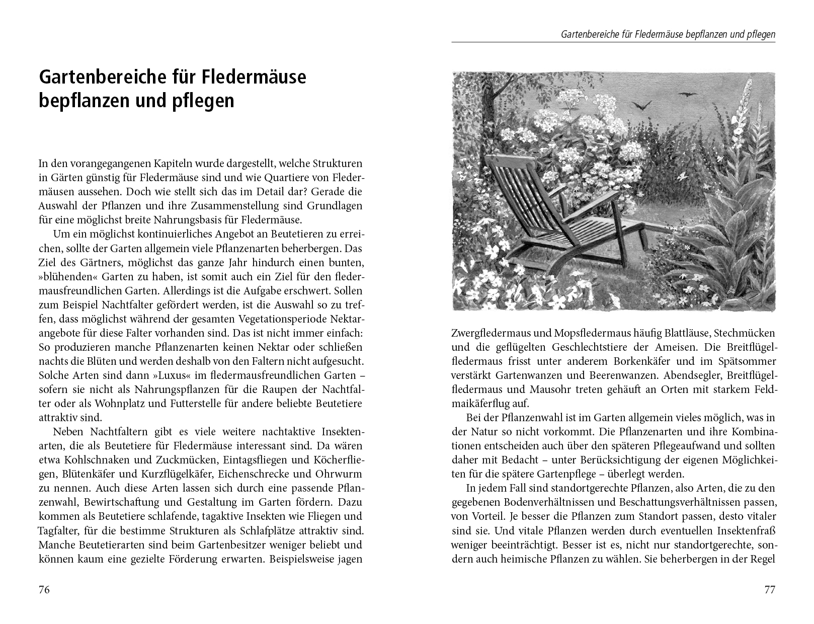 9783895663116_innenansicht_02.jpg