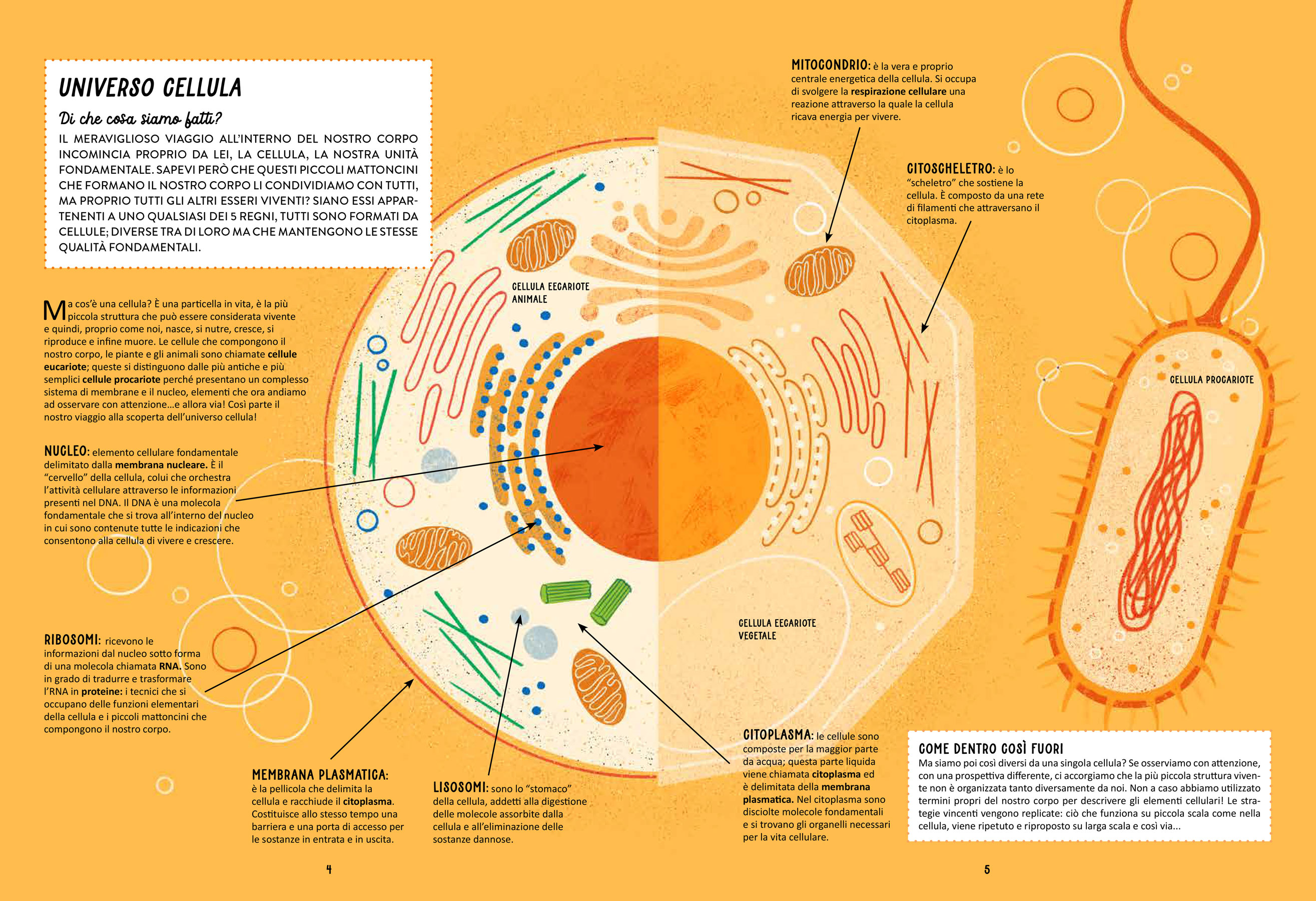 9783038763079_innenansicht_01 9783038763079_innenansicht_01.jpg