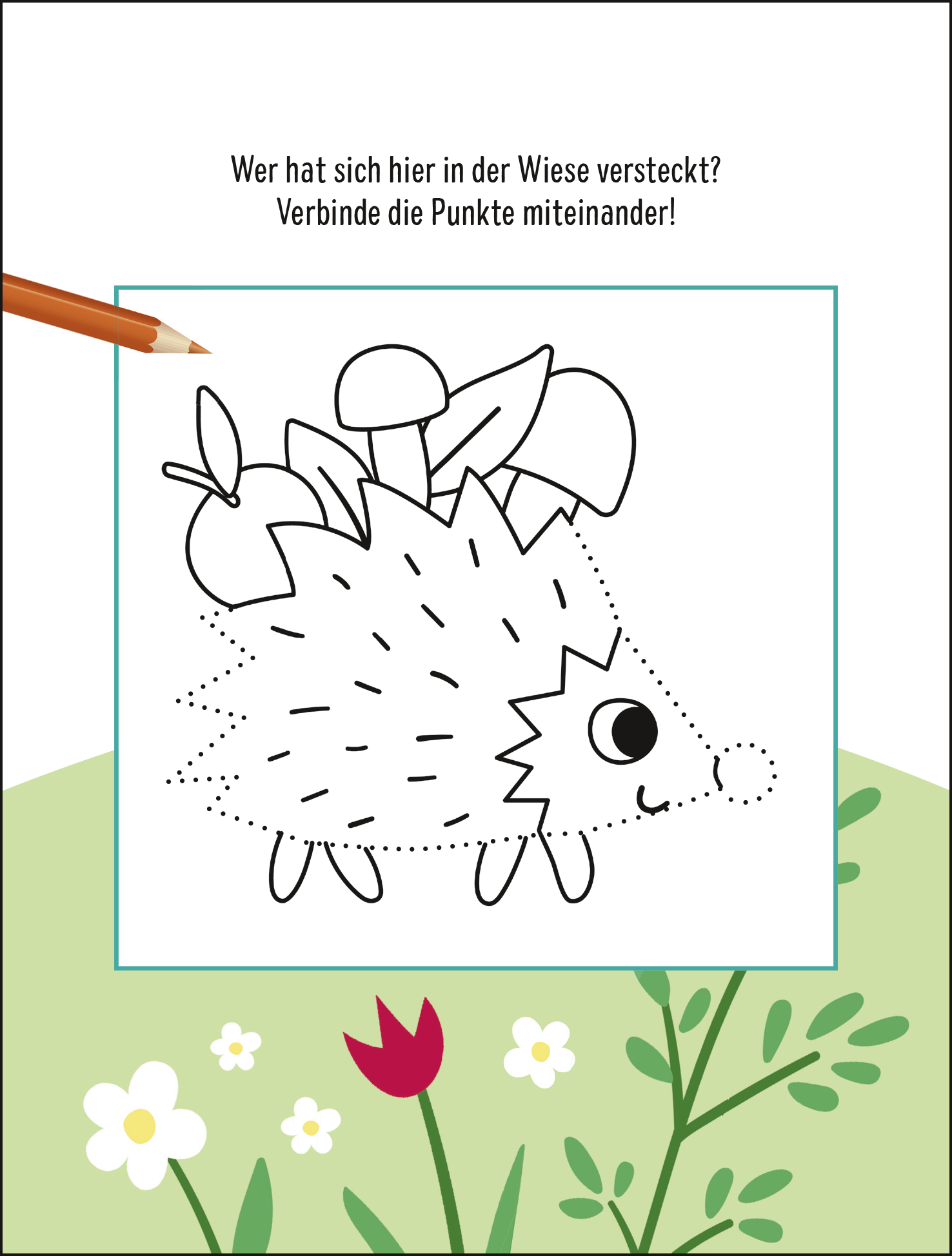 9783629013002_innenansicht_01.png