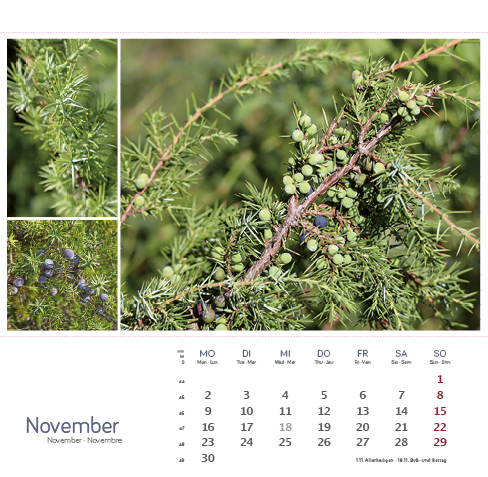 9783861925163_innenansicht_11 9783861925163_innenansicht_11.jpg