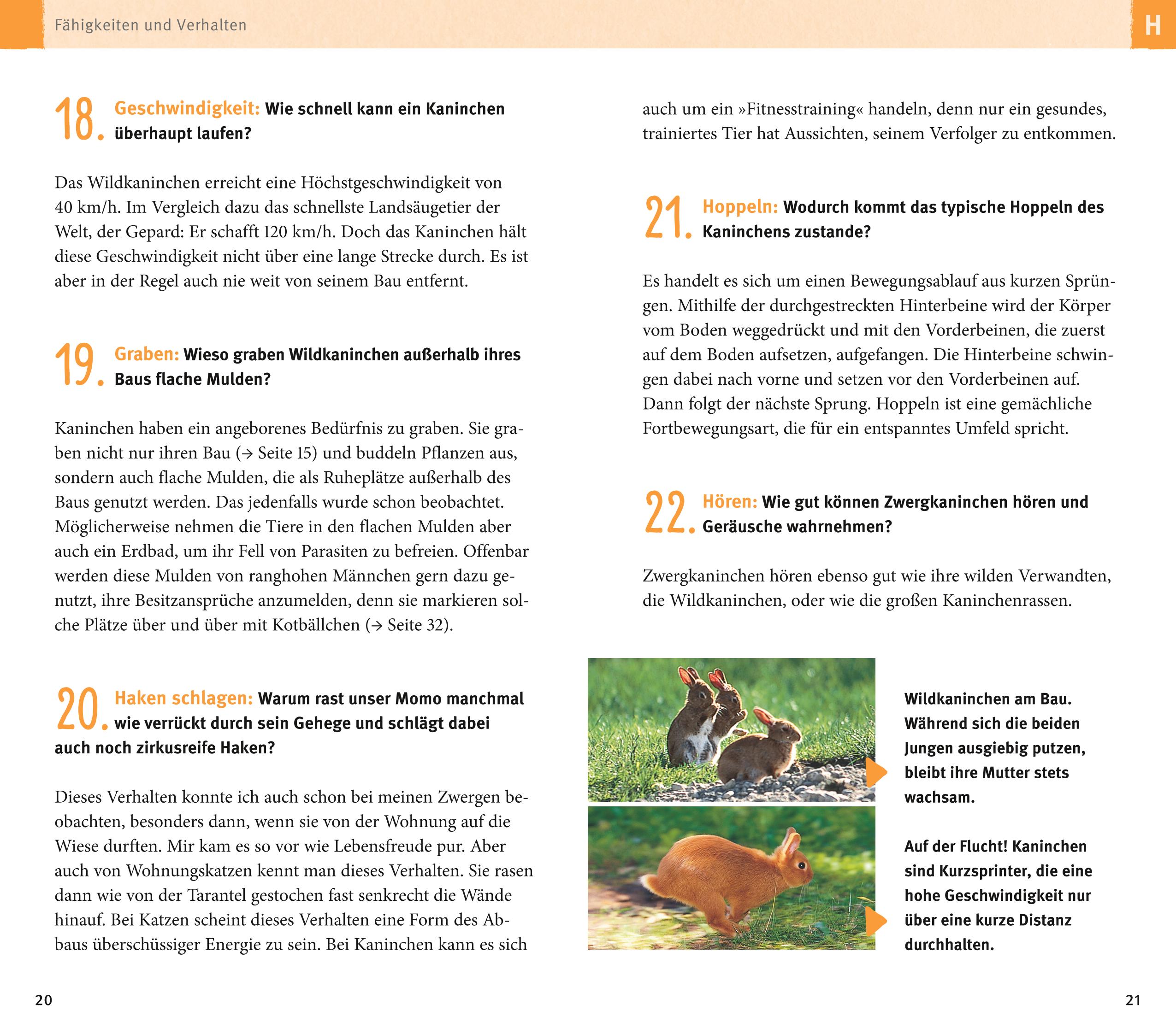 9783833855771_innenansicht_05 9783833855771_innenansicht_05.jpg