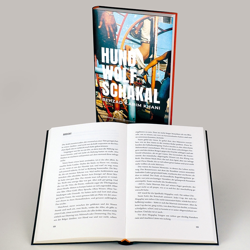 9783446273788_innenansicht_03 9783446273788_innenansicht_03.jpg