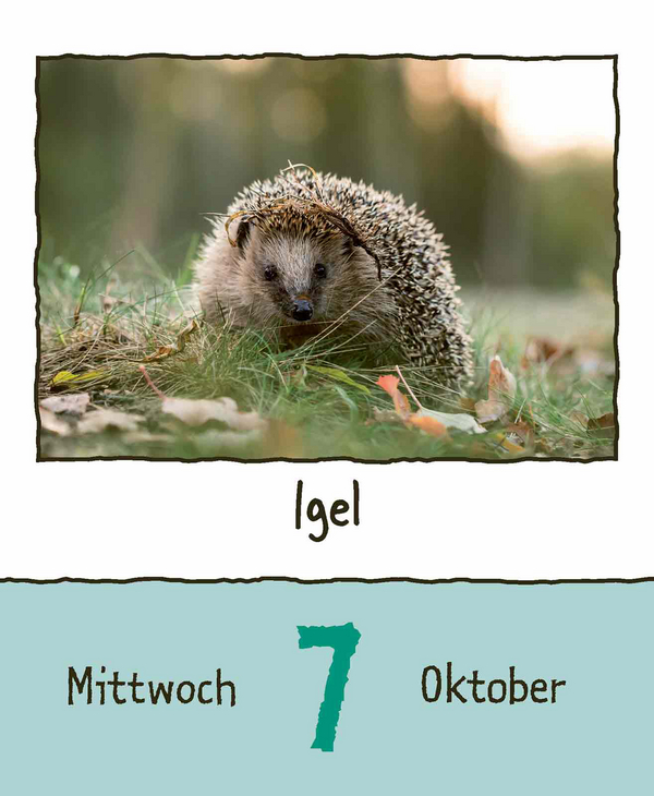 9783731889182_innenansicht_14.jpg