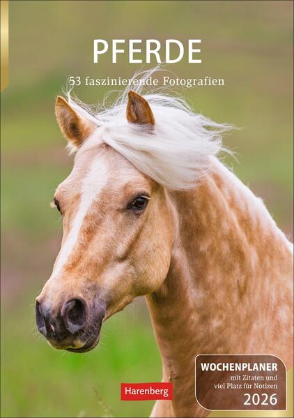 9783840036248 9783840036248