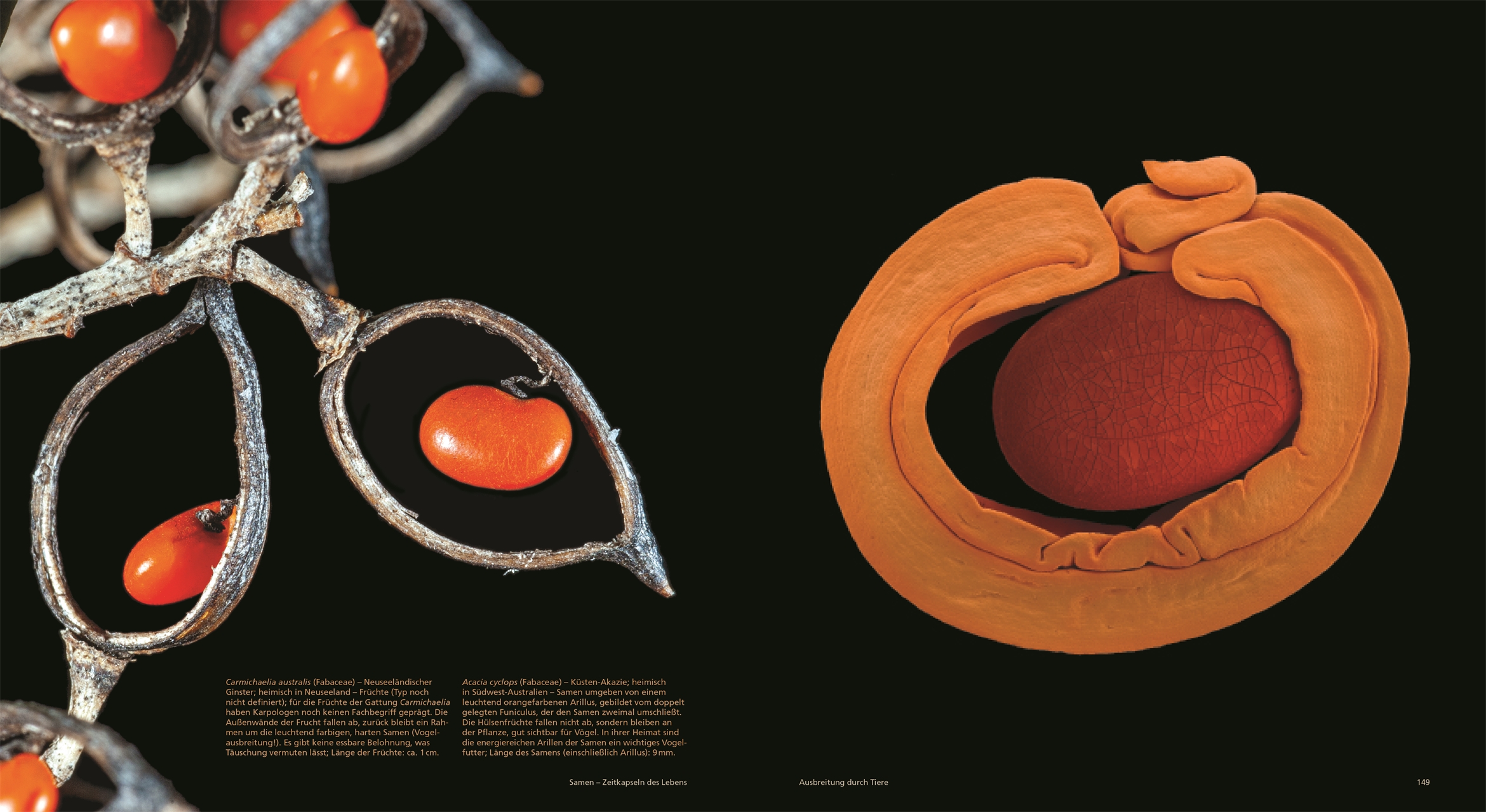 9783831049974_innenansicht_05 9783831049974_innenansicht_05.jpg