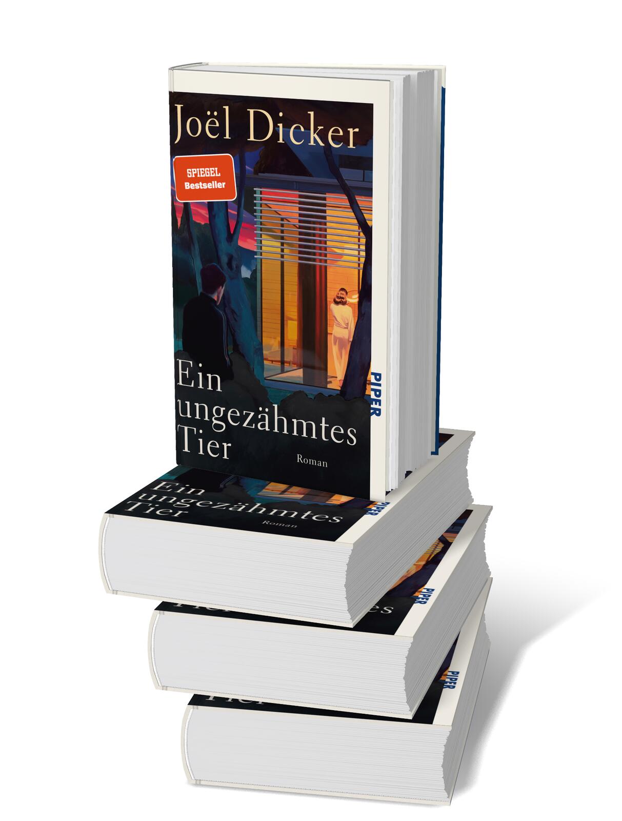 9783492073448_innenansicht_12.jpg