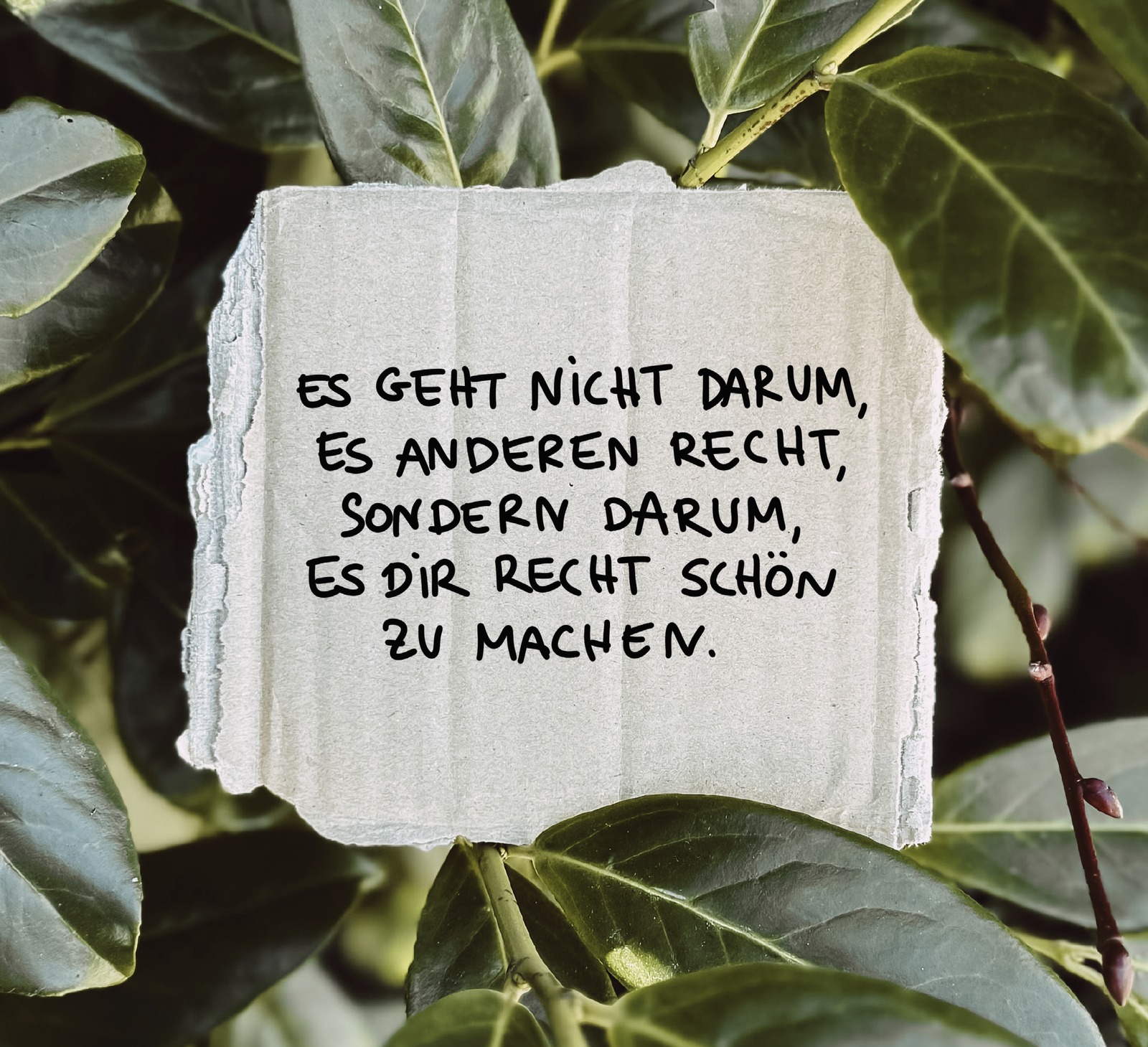 9783848503698_innenansicht_08.png