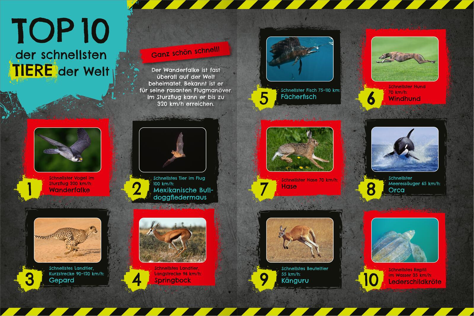 9783845862170_innenansicht_01 9783845862170_innenansicht_01.jpg