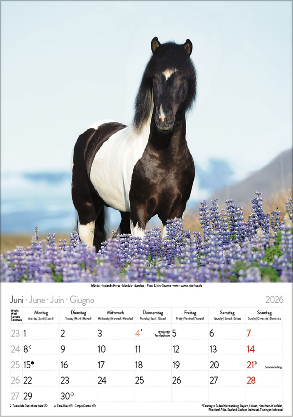 9783731883623_innenansicht_06 9783731883623_innenansicht_06.jpg